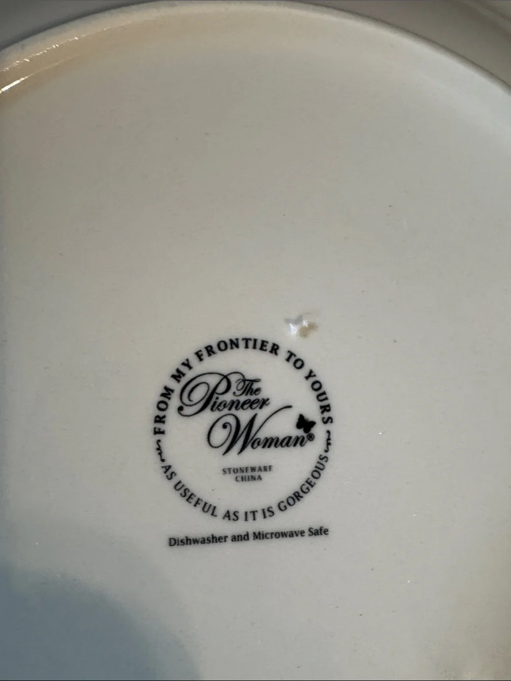 The Pioneer Woman decorative dinner